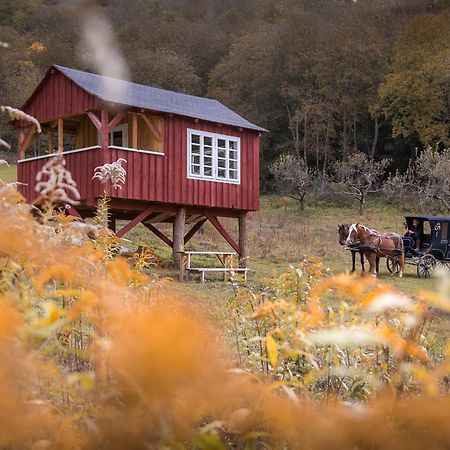 Valea Verde Retreat Transilvania Cund Bagian luar foto