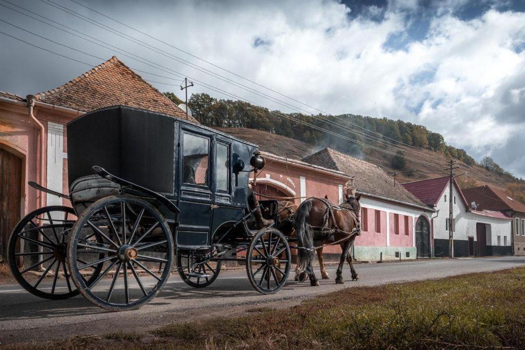 Valea Verde Retreat Transilvania Cund Bagian luar foto