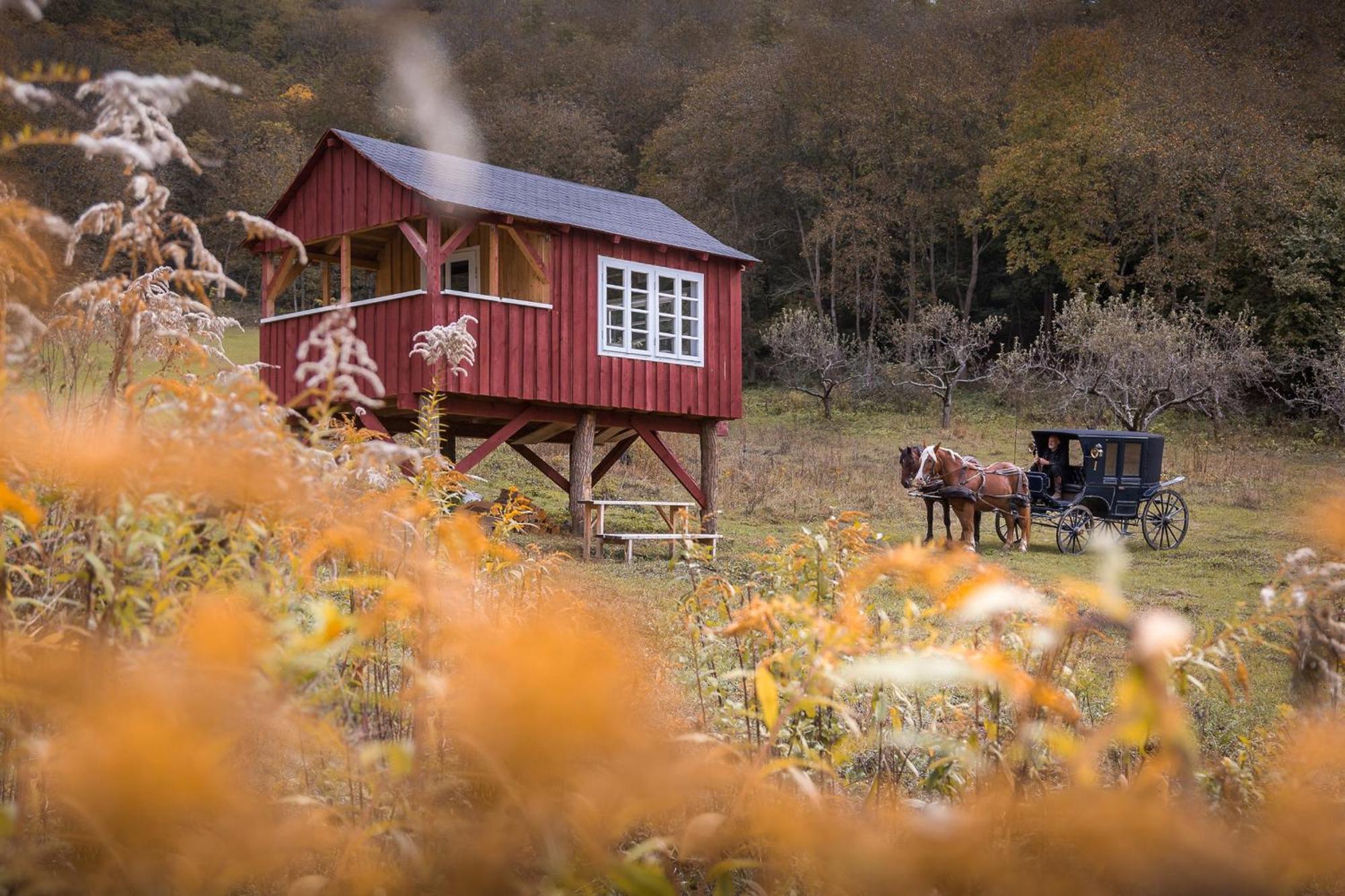 Valea Verde Retreat Transilvania Cund Bagian luar foto